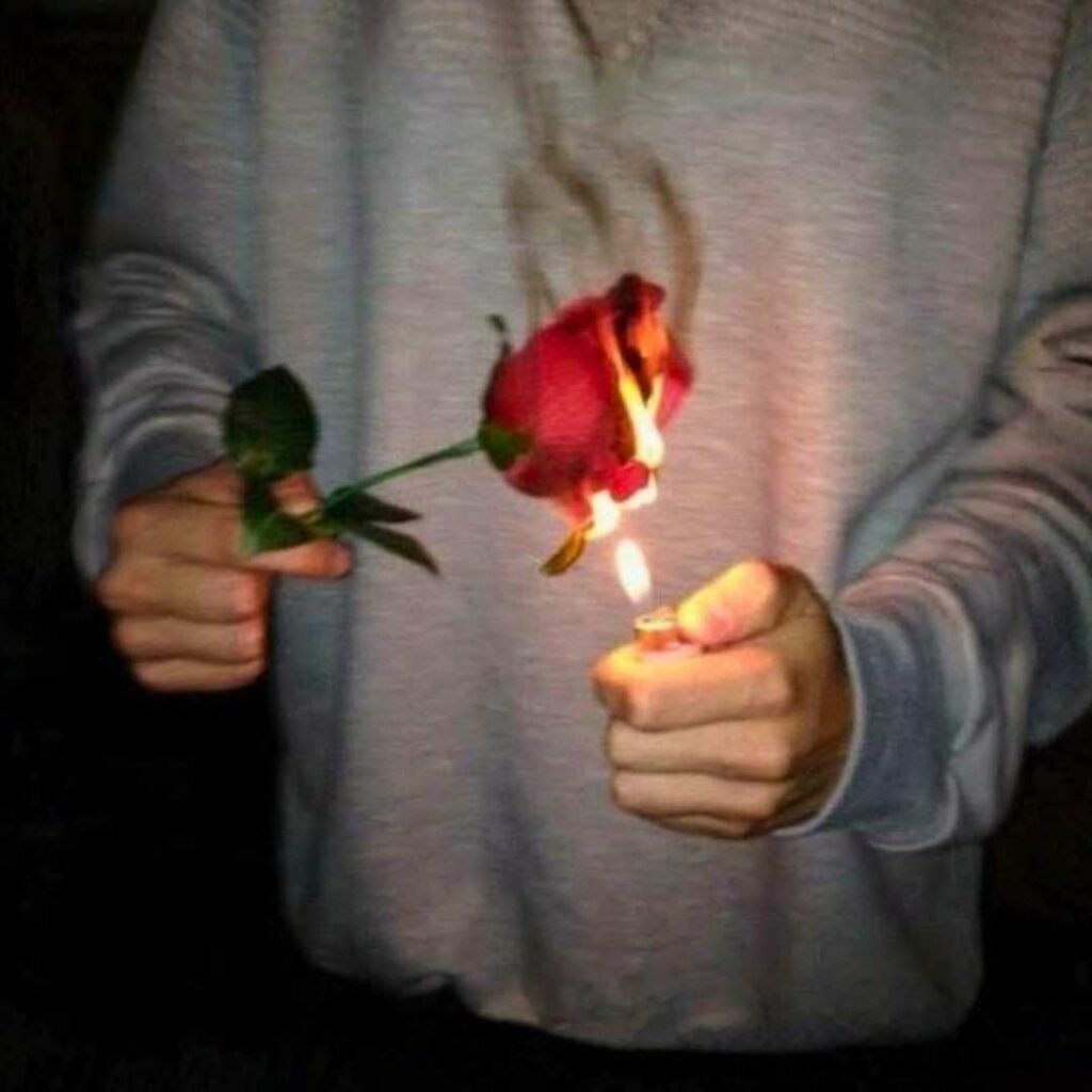  Unique DP for WhatsApp Pics