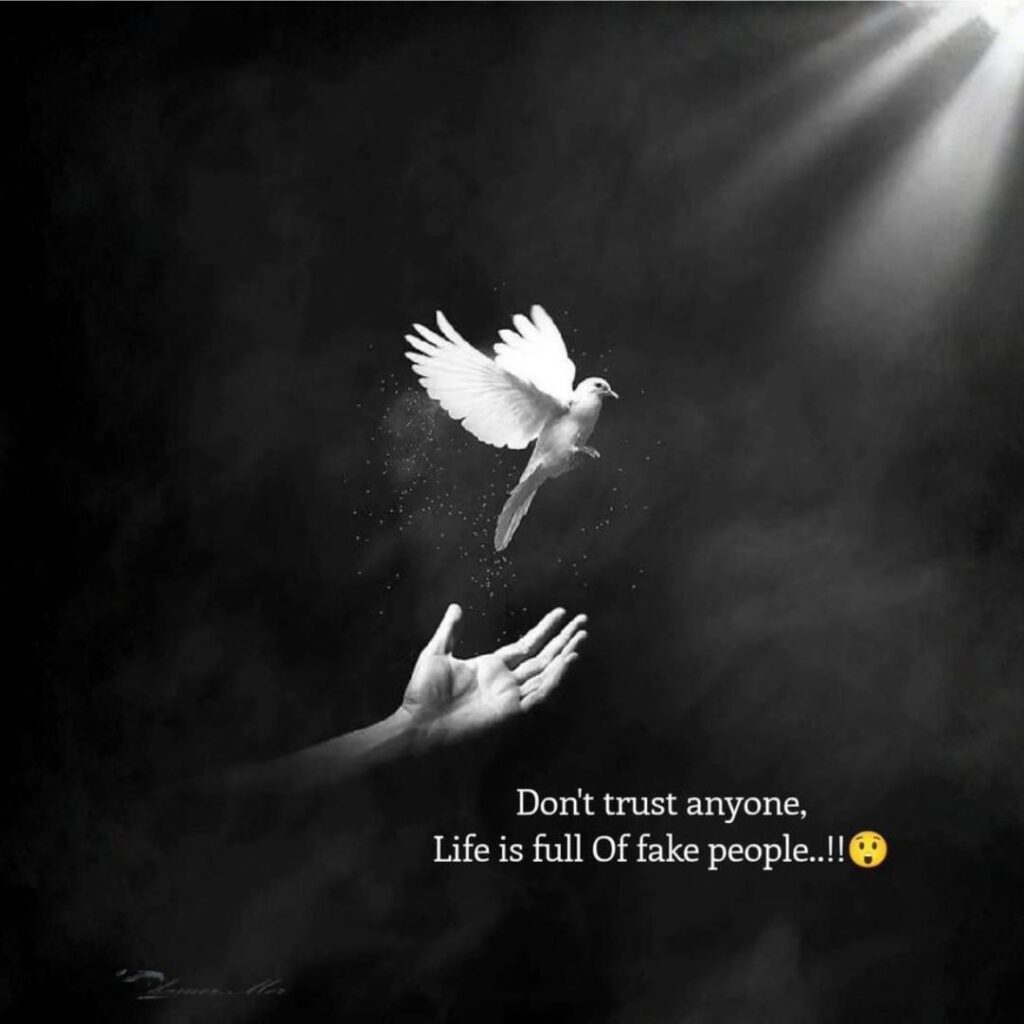  Unique DP for WhatsApp Photos